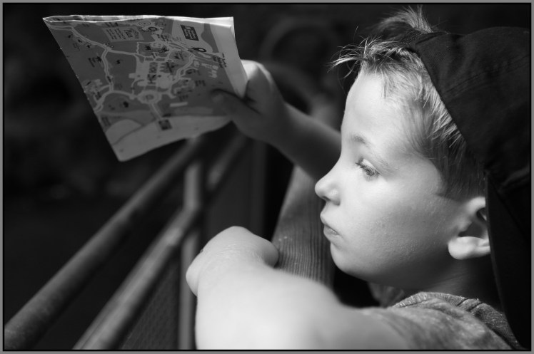 NY-2018-Vaca-672-2-B-frm-jpg